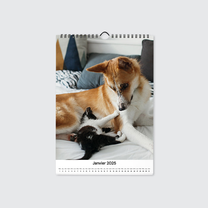 calendrier-photo-a4-portrait-personnalise#lang=FR